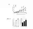 Fig. 06 - Method of anaerobic tissue-targeted gene expression initiated by alcohol dehydrogenase promoter and the application thereof
