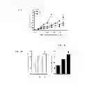 Fig. 07 - Method of anaerobic tissue-targeted gene expression initiated by alcohol dehydrogenase promoter and the application thereof