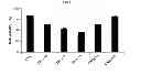 Fig. 08 - Method of diagnosing cancer using a nucleolin specific aptamer