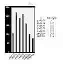 Fig. 09 - Method of diagnosing cancer using a nucleolin specific aptamer