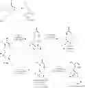 Fig. 23 - Porphyrinic compounds for use in flow cytometry