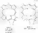 Fig. 40 - Porphyrinic compounds for use in flow cytometry
