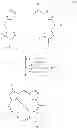 Fig. 57 - Porphyrinic compounds for use in flow cytometry