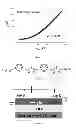 Fig. 03 - Silk transistor devices