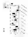Fig. 32 - METHODS FOR DIAGNOSIS, PROGNOSIS AND METHODS OF TREATMENT