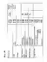 Fig. 40 - METHODS FOR DIAGNOSIS, PROGNOSIS AND METHODS OF TREATMENT