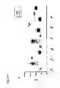 Fig. 45 - METHODS FOR DIAGNOSIS, PROGNOSIS AND METHODS OF TREATMENT