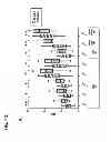 Fig. 47 - METHODS FOR DIAGNOSIS, PROGNOSIS AND METHODS OF TREATMENT