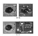 Fig. 07 - METHOD AND APPARATUS FOR IMAGE-BASED PREDICTION AND SORTING OF HIGH-PERFORMING CLONES