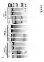 Fig. 06 - Methods and compositions for treatment of a genetic condition