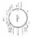 Fig. 07 - Expression vector for animal cells including CSP-B 5′-SAR factor and method for producing recombinant proteins using same