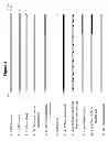 Fig. 06 - Immobilized transposase complexes for DNA fragmentation and tagging