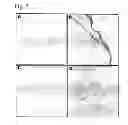 Fig. 04 - Microbial cell and particle selection system and method of use