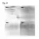 Fig. 05 - Microbial cell and particle selection system and method of use