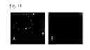 Fig. 12 - Microbial cell and particle selection system and method of use