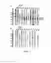 Fig. 04 - Prokaryotic RNAi-like system and methods of use