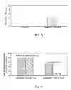 Fig. 04 - SYSTEM FOR OPTIMIZING THE INTRODUCTION OF NUCLEIC ACIDS INTO CELLS USING MAGNETIC PARTICLES