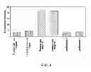 Fig. 06 - SYSTEM FOR OPTIMIZING THE INTRODUCTION OF NUCLEIC ACIDS INTO CELLS USING MAGNETIC PARTICLES