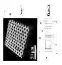 Fig. 08 - NON-ADHERENT CELL SUPPORT AND MANUFACTURING METHOD