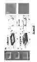 Fig. 21 - NON-ADHERENT CELL SUPPORT AND MANUFACTURING METHOD