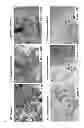 Fig. 02 - CELL DIFFERENTIATION INDUCER AND DIFFERENTIATION INDUCING METHOD