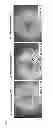 Fig. 04 - CELL DIFFERENTIATION INDUCER AND DIFFERENTIATION INDUCING METHOD