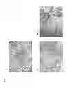 Fig. 09 - CELL DIFFERENTIATION INDUCER AND DIFFERENTIATION INDUCING METHOD