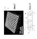 Fig. 08 - NON-ADHERENT CELL SUPPORT AND MANUFACTURING METHOD