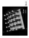 Fig. 09 - NON-ADHERENT CELL SUPPORT AND MANUFACTURING METHOD
