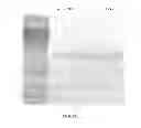 Fig. 10 - Expression systems and methods of producing spider silk proteins