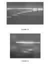 Fig. 24 - Expression systems and methods of producing spider silk proteins