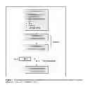 Fig. 02 - Method for diagnosing acute alcoholic hepatitis