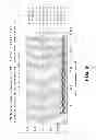 Fig. 10 - Epitope testing using soluble HLA
