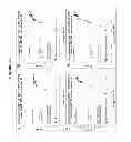 Fig. 28 - Epitope testing using soluble HLA
