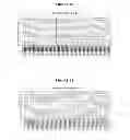 Fig. 59 - Epitope testing using soluble HLA