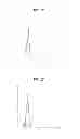 Fig. 10 - COMPOSITIONS, SYSTEMS AND METHODS THAT DETECT AND/OR REMOVE CROSS-REACTIVE ANTIBODIES FROM A BIOLOGICAL SAMPLE