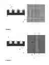 Fig. 03 - DEVICE OF MONOLITHICALLY INTEGRATED OPTOELECTRICS