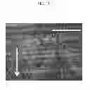 Fig. 12 - METHOD OF MANUFACTURING AN ORGANIC SEMICONDUCTOR THIN FILM