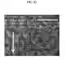 Fig. 13 - METHOD OF MANUFACTURING AN ORGANIC SEMICONDUCTOR THIN FILM