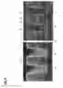 Fig. 08 - PLASMA DOPING APPARATUS, PLASMA DOPING METHOD, AND METHOD FOR MANUFACTURING SEMICONDUCTOR DEVICE