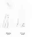 Fig. 03 - Low-drag fin and foil system for surfboards