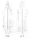 Fig. 08 - Low-drag fin and foil system for surfboards