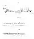 Fig. 09 - Sequence-specific engineered ribonuclease H and the method for determining the sequence preference of DNA-RNA hybrid binding proteins