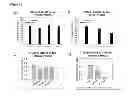 Fig. 22 - High-affinity, dimeric inhibitors of PSD-95 as efficient neuroprotectants against ischemic brain damage and for treatment of pain
