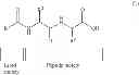 Fig. 06 - Hydrogel-forming material
