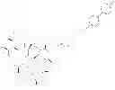 Fig. 110 - Triazole compounds and methods of making and using the same