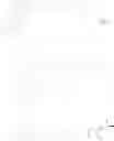 Fig. 22 - AMPHIPHILE PRODRUGS