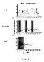 Fig. 04 - Dosing methods for treating disease