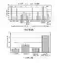 Fig. 03 - Dosage regimen for sapacitabine and decitabine in combination for treating acute myeloid leukemia