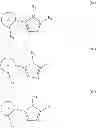 Fig. 06 - Imidazole compounds that modulate HSP90 activity